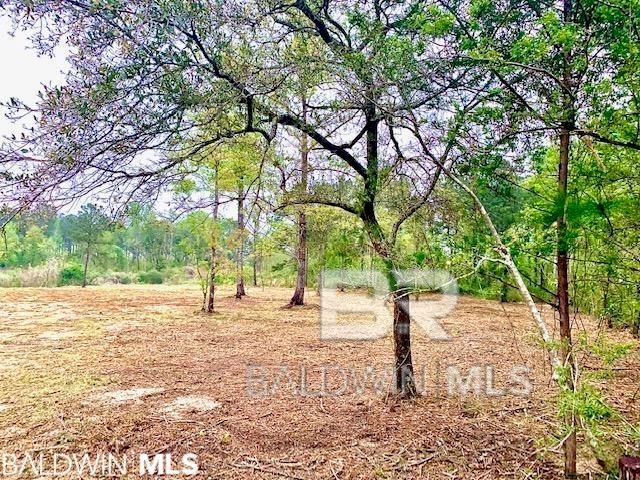 0 W 7th Street, Bay Minette, AL 36507