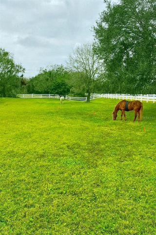 13717 CANTERFIELD DRIVE, Riverview, FL 33579