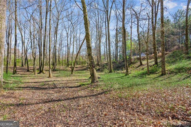 11637 Brown Bridge Road, Covington, GA 30016