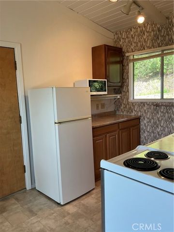 4160 Lakeview Drive, Nice, CA 95464