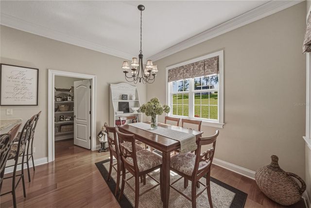810 SAVANNAH OAKS DRIVE, Brooksville, FL 34602