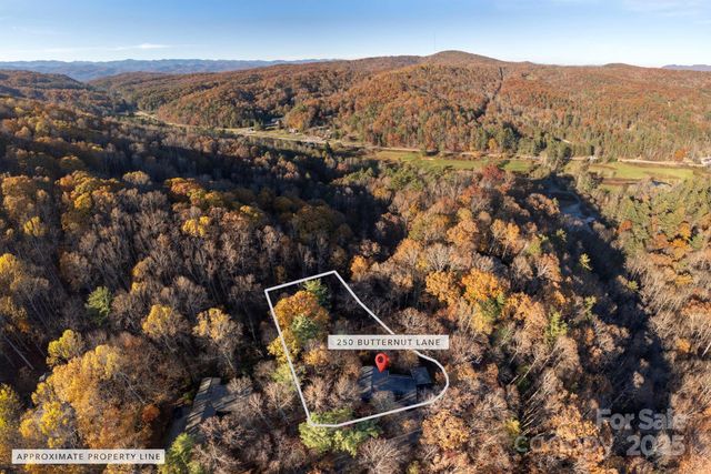 250 Butternut Lane, Brevard, NC 28712