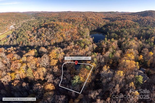 250 Butternut Lane, Brevard, NC 28712