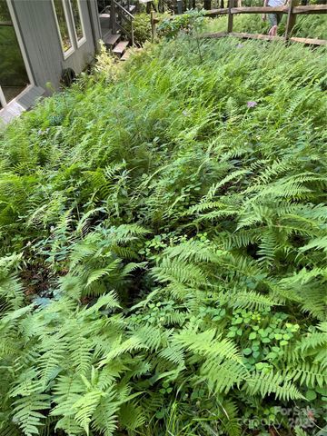 250 Butternut Lane, Brevard, NC 28712