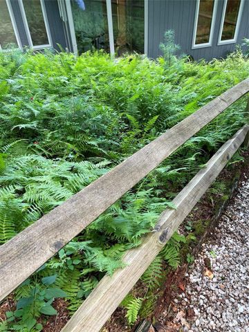 250 Butternut Lane, Brevard, NC 28712