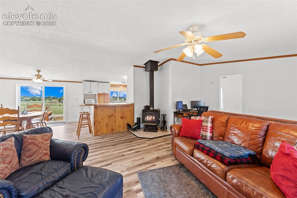 6245 Peerless Farms Road, Peyton, CO 80831 — photo 3