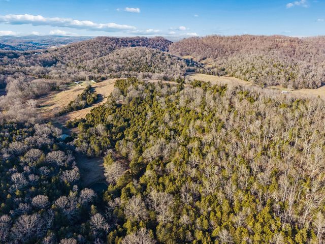 2370 Patton Hollow Rd, Watertown, TN 37184