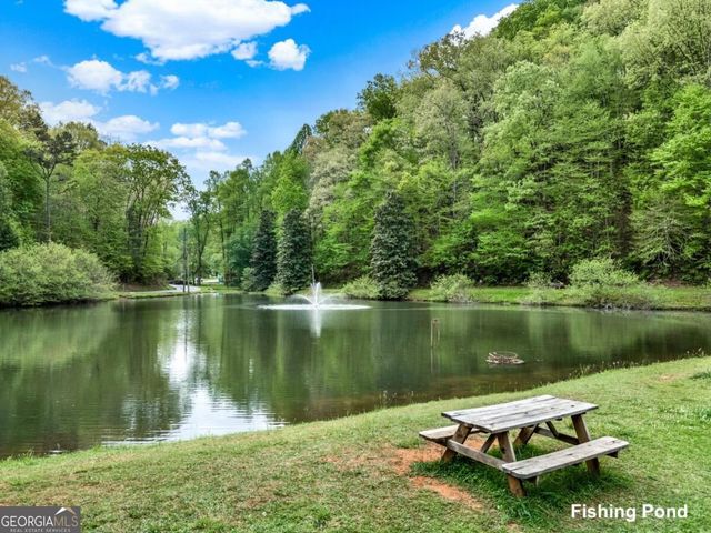 35 Dora Lane, Ellijay, GA 30540