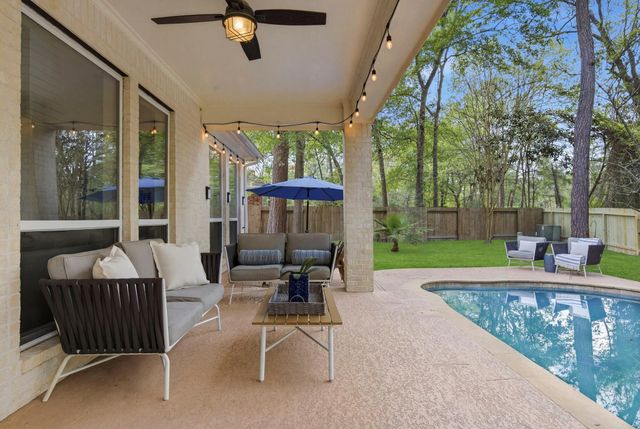22 Picasso Path Place, The Woodlands, TX 77382