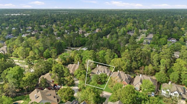 22 Picasso Path Place, The Woodlands, TX 77382