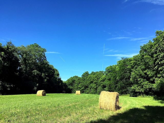1281 Sharp Road, Stamping Ground, KY 40379