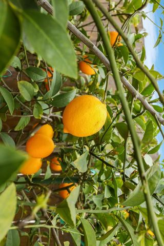 10168 Creek Trail Cir, Stockton, CA 95209