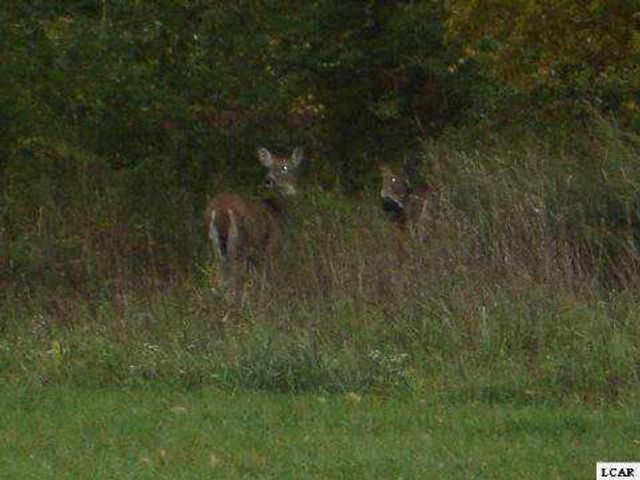 1007 Saw Mill Court, Adrian, MI 49221