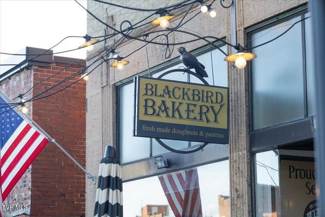 455 Westin Drive, Bristol, VA 24201