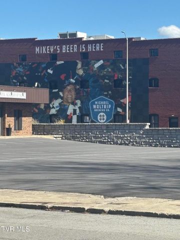 455 Westin Drive, Bristol, VA 24201