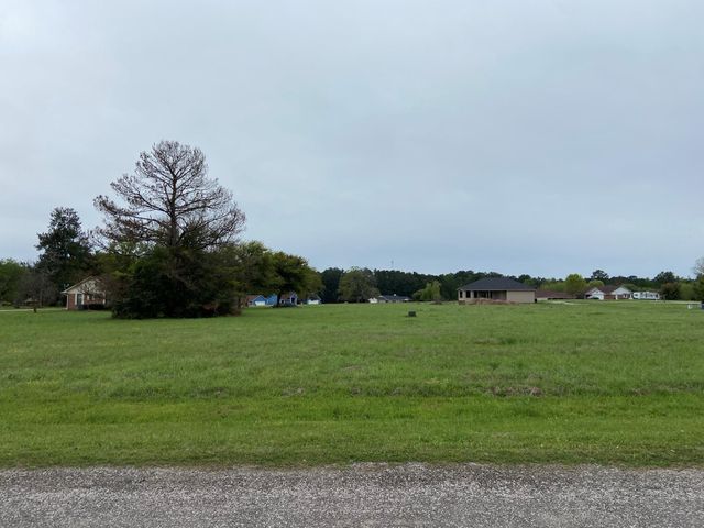 45 Meadowview Drive, Trinity, TX 75862