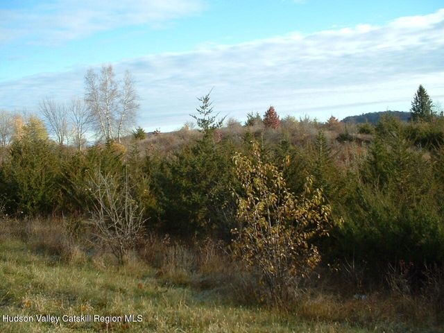 0 Middle Road, Hudson, NY 12534