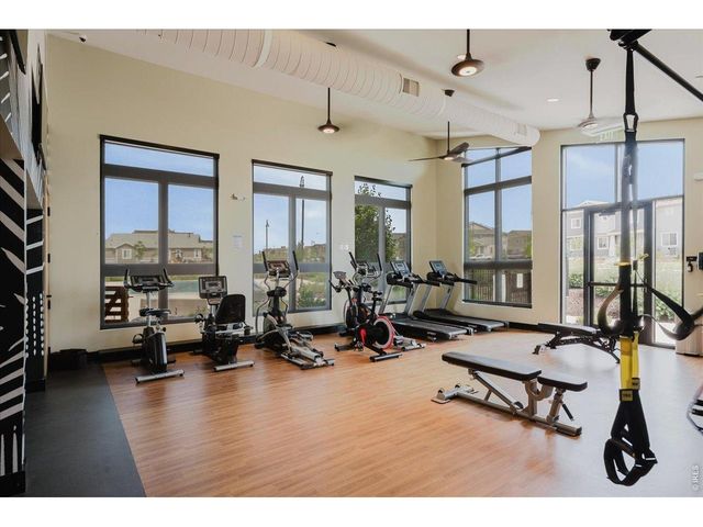 737 Audubon Peak Dr, Erie, CO 80516