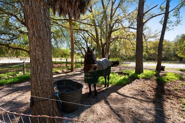 15311 SW 107TH STREET, Archer, FL 32618