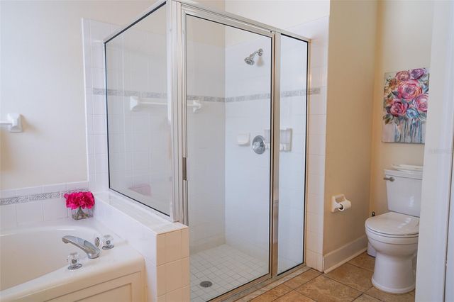 10304 BIRDWATCH DRIVE, Tampa, FL 33647