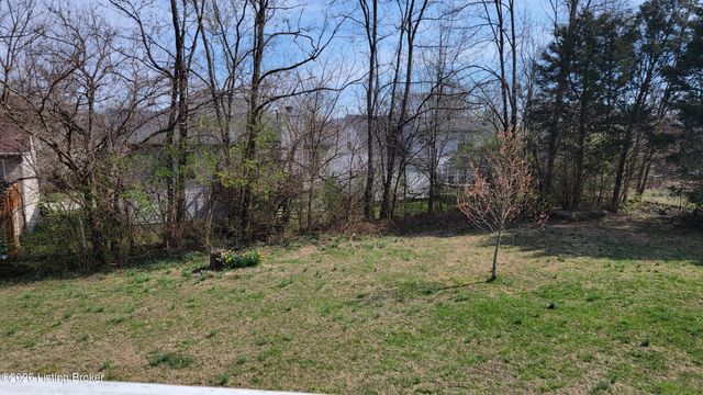 10313 Chimney Ridge Ct, Louisville, KY 40299