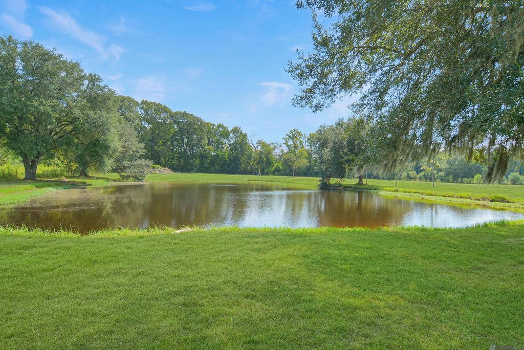 22460 Sutter Ln, Zachary, LA 70791