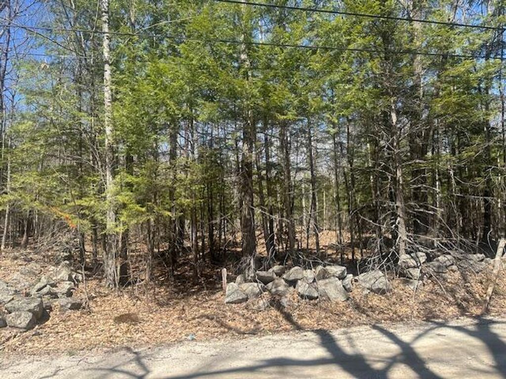 TBD Whitney Road, Bridgton, ME 04009 — photo 2