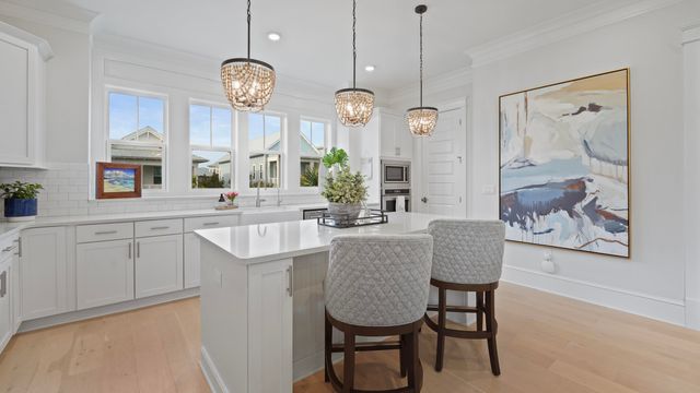 91 Siasconset Lane, Inlet Beach, FL 32461