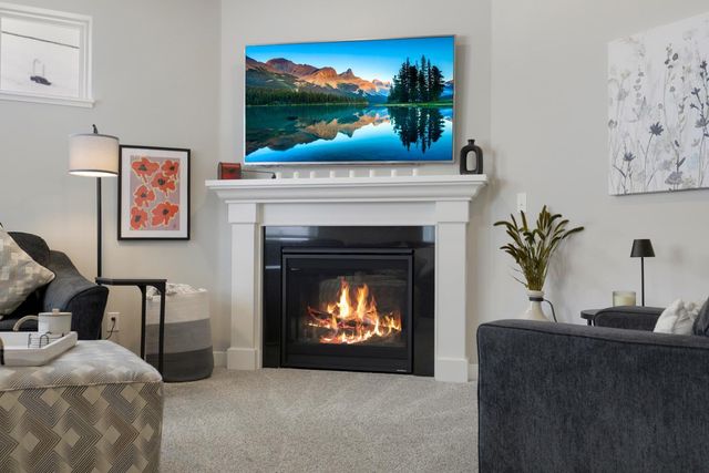 19161 Grass Lake Trail, Rogers, MN 55374