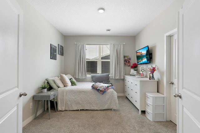 19161 Grass Lake Trail, Rogers, MN 55374