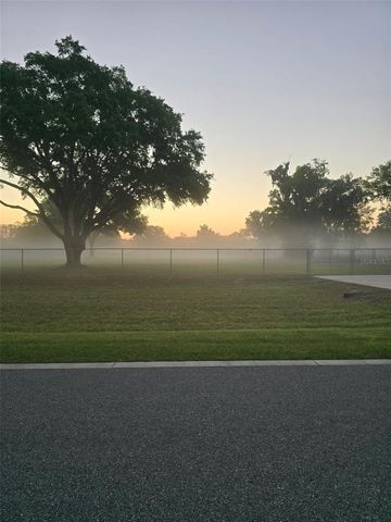 980 DUCK BOX ROAD, Umatilla, FL 32784