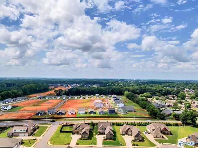 22495 Ansley Drive, Athens, AL 35613
