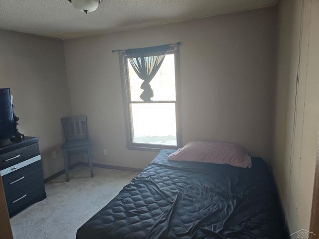 1946 N Mackenzie Lane, Mt Pleasant, MI 48858