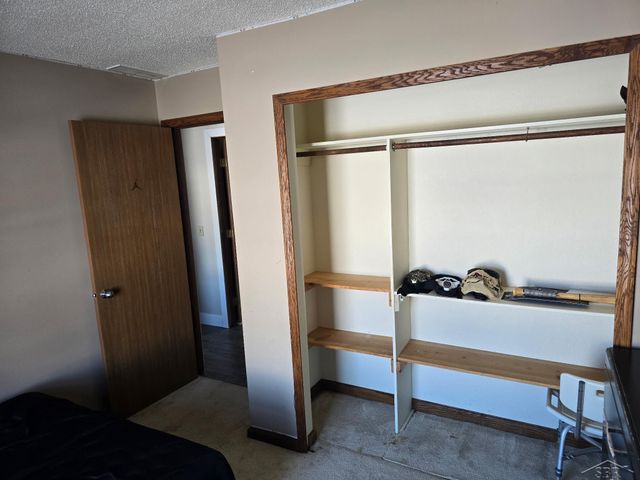 1946 N Mackenzie Lane, Mt Pleasant, MI 48858