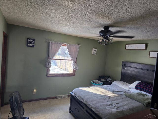 1946 N Mackenzie Lane, Mt Pleasant, MI 48858