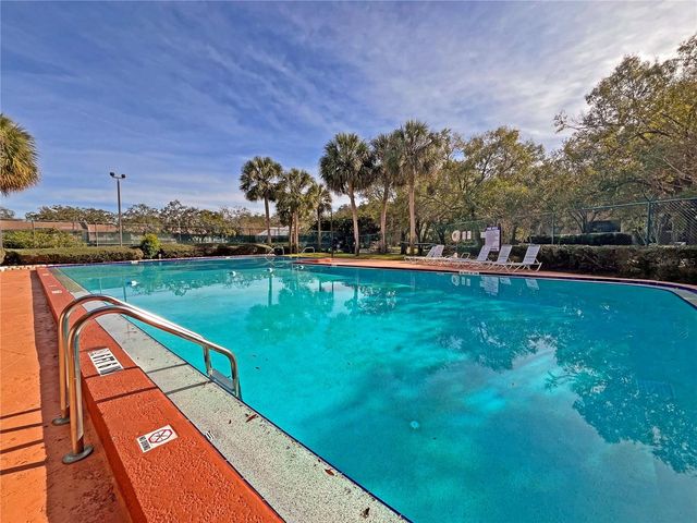 4207 WINDING MOSS TRAIL 208, Tampa, FL 33613