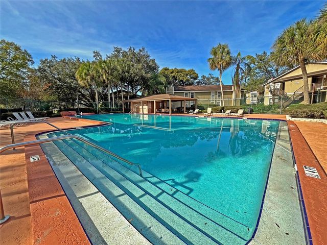 4207 WINDING MOSS TRAIL 208, Tampa, FL 33613