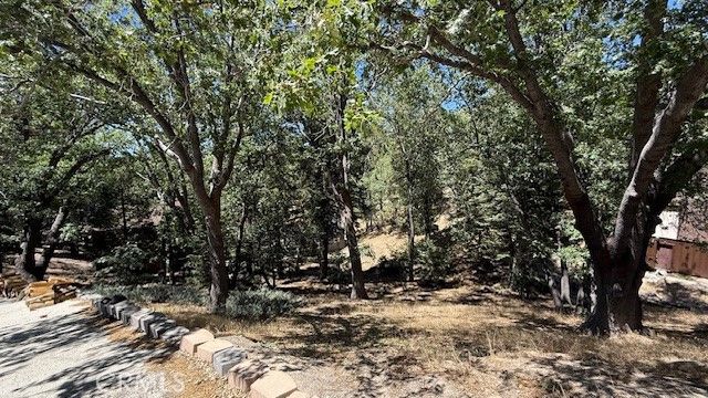 736 Dahlia Drive, Green Valley Lake, CA 92341