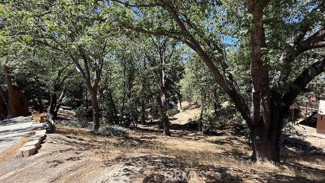 736 Dahlia Drive, Green Valley Lake, CA 92341