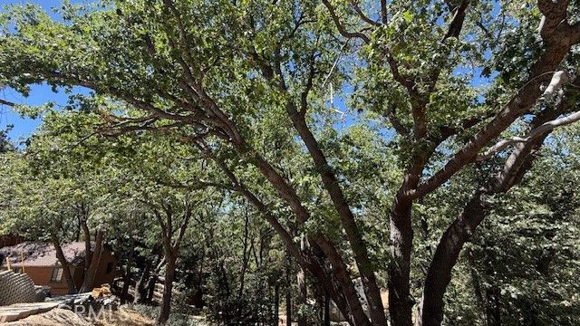 736 Dahlia Drive, Green Valley Lake, CA 92341
