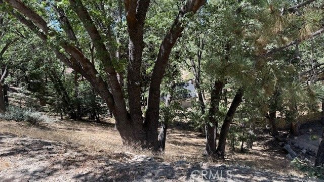 736 Dahlia Drive, Green Valley Lake, CA 92341