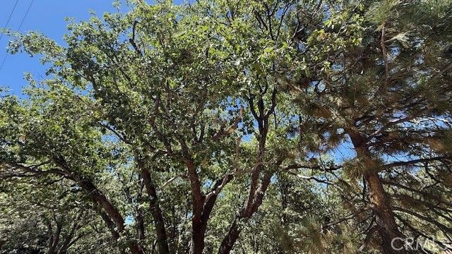 736 Dahlia Drive, Green Valley Lake, CA 92341