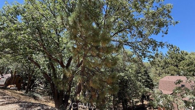736 Dahlia Drive, Green Valley Lake, CA 92341