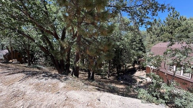 736 Dahlia Drive, Green Valley Lake, CA 92341