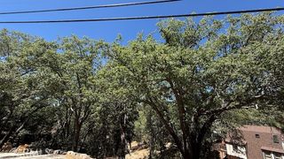 736 Dahlia Drive, Green Valley Lake, CA 92341