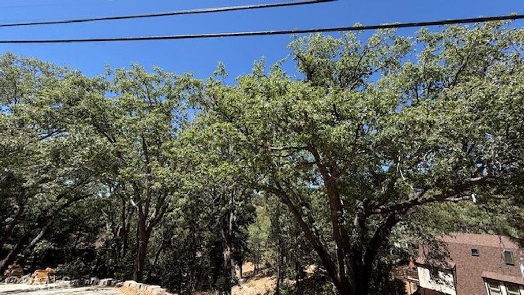 736 Dahlia Drive, Green Valley Lake, CA 92341