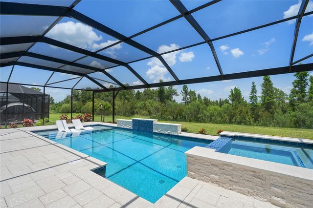33875 CASTAWAY LOOP, Wesley Chapel, FL 33543