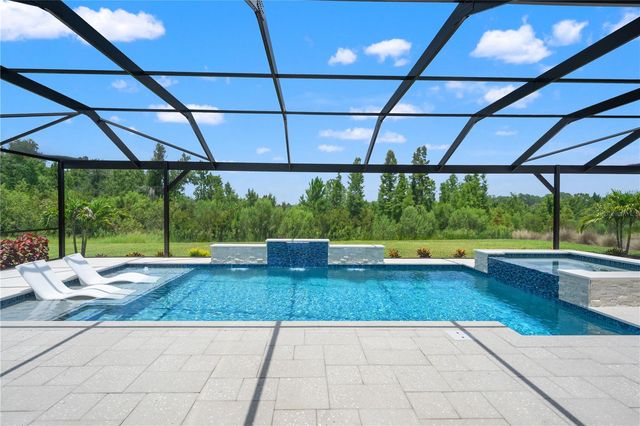 33875 CASTAWAY LOOP, Wesley Chapel, FL 33543