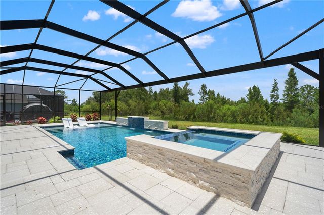 33875 CASTAWAY LOOP, Wesley Chapel, FL 33543