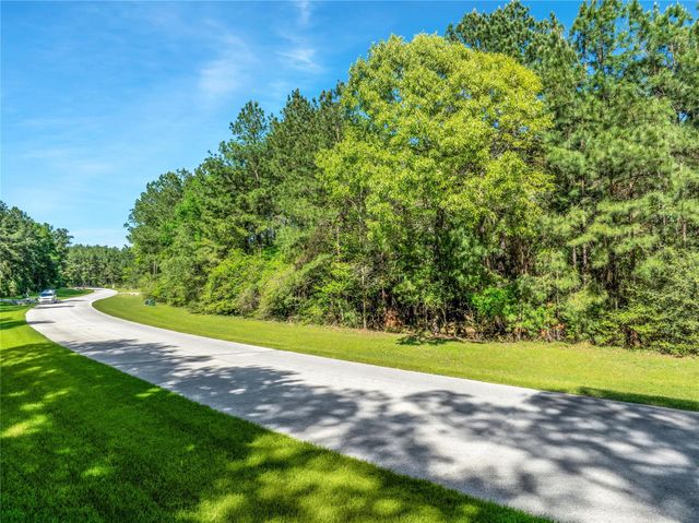 12627 Shady Wds Trail, Montgomery, TX 77316